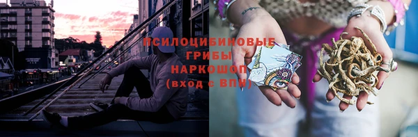 СК Алзамай