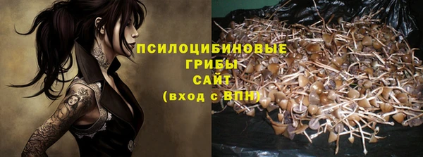 СК Алзамай