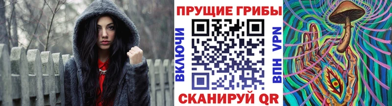 Псилоцибиновые грибы ЛСД  Приволжский 